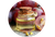 Grapeseed